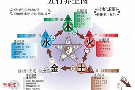 火旺缺金|你知道你的五行缺什么吗？（附补五行方法）